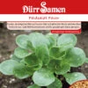 Feldsalat Favor | Feldsalatsamen Von Dürr Samen