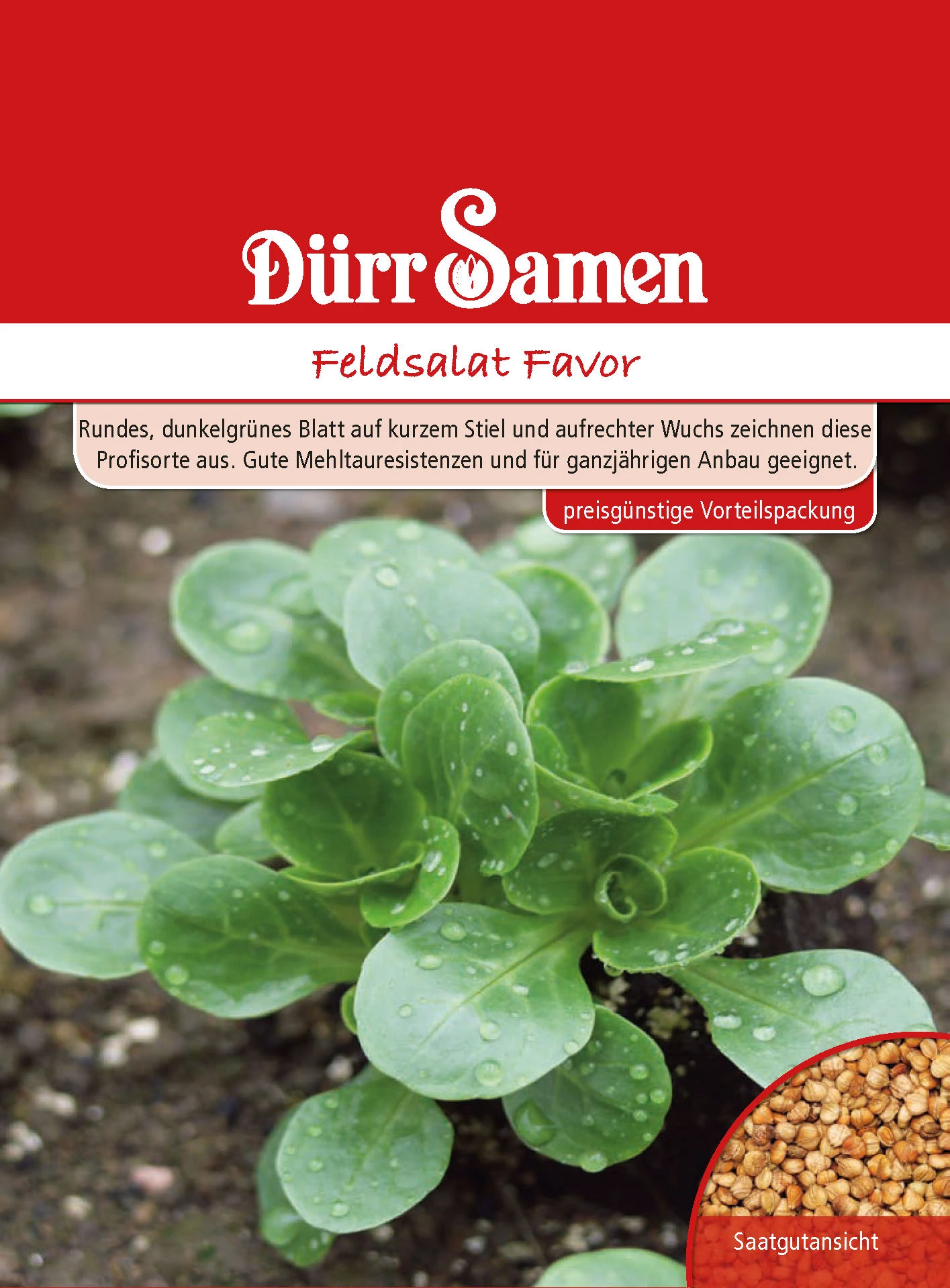 Feldsalat Favor | Feldsalatsamen Von Dürr Samen 3 Feldsalat Favor | Feldsalatsamen Von Dürr Samen