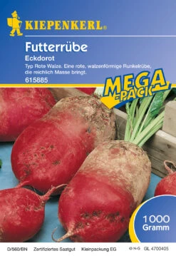 Futterrübe Eckdorot (1 Kg) | Runkelrüben- &amp; Futterrübensamen Von Kiepenkerl