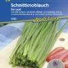 Schnittknoblauch Fat Leaf | Knoblauchsamen Von Kiepenkerl -Pegasus Verkaufsgeschäft 523575 Schnittknoblauch Fat Leaf