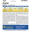 Gurke Picolino F1 | Gurkensamen Von Kiepenkerl -Pegasus Verkaufsgeschäft 528192 Gurke Picolino F1 1