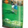 Pegasus Spiel+Sport (1 Kg) | Rasensamen Von Pegasus