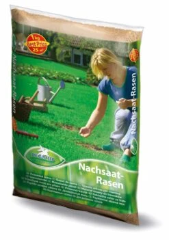 Pegasus Nachsaat (1 Kg) | Rasensamen Von Pegasus