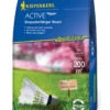 Majestic Active Strapazierfähiger Rasen 4 Kg | Rasensamen Von Kiepenkerl -Pegasus Verkaufsgeschäft 530741 Active Strapazierfaehiger Rasen 4 kg 661608 0