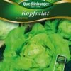 Kopfsalat Dynamite | Kopfsalatsamen Von Quedlinburger -Pegasus Verkaufsgeschäft 531924 Kopfsalat Dynamite von Quedlinburger Saatgu