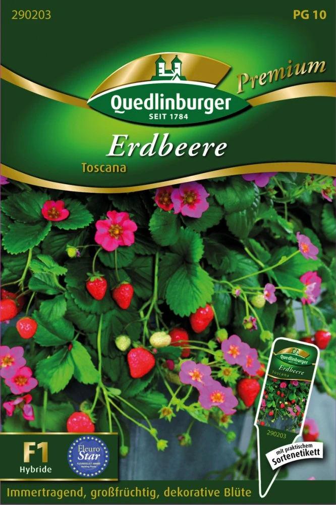 Erdbeere Toscana | Erdbeersamen Von Quedlinburger 3 Erdbeere Toscana | Erdbeersamen Von Quedlinburger