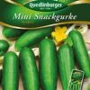Mini-Snackgurken Picolino | Minigurkensamen Von Quedlinburger 2 Mini-Snackgurken Picolino | Minigurkensamen Von Quedlinburger -Pegasus Verkaufsgeschäft 531946 Mini Snackgurken Picolino von Quedlinburger