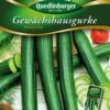 Gewächshausgurke Marumba F1 | Gurkensamen Von Quedlinburger 1 Gewächshausgurke Marumba F1 | Gurkensamen Von Quedlinburger -Pegasus Verkaufsgeschäft 531949 Gewaechshausgurken Marumba von Quedlinburge