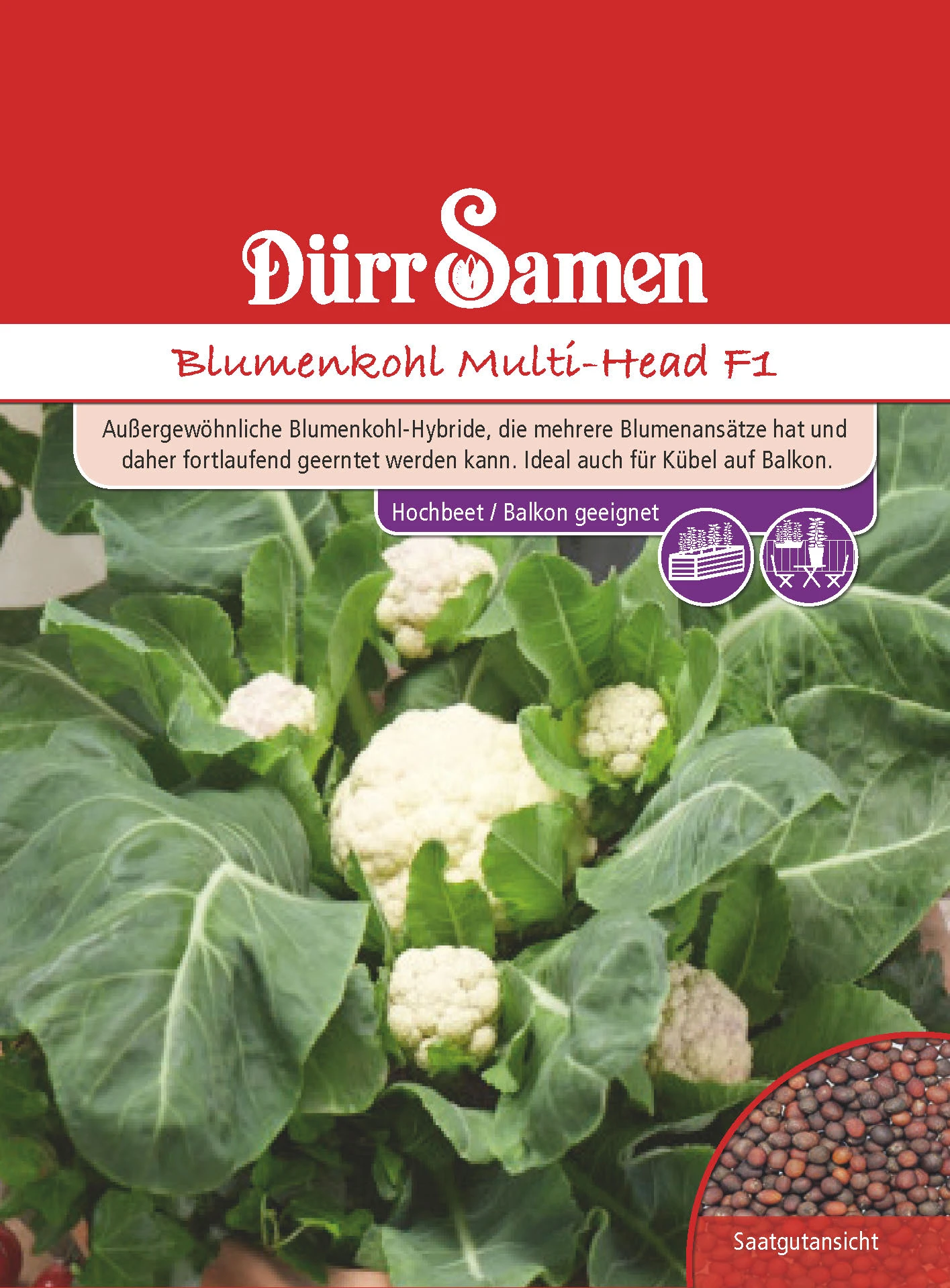 Blumenkohl Multi-Head F1 | Kohlsamen Von Dürr Samen 4 Blumenkohl Multi-Head F1 | Kohlsamen Von Dürr Samen – Bild 2