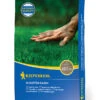 Schatten - Rasen (10 Kg) | Schattenrasen Von Kiepenkerl -Pegasus Verkaufsgeschäft 532559 Schatten Rasen 10 kg 651555 0