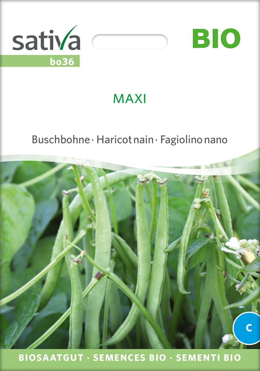 Buschbohne Maxi | BIO Buschbohnensamen Von Sativa Rheinau 4 Buschbohne Maxi | BIO Buschbohnensamen Von Sativa Rheinau – Bild 2