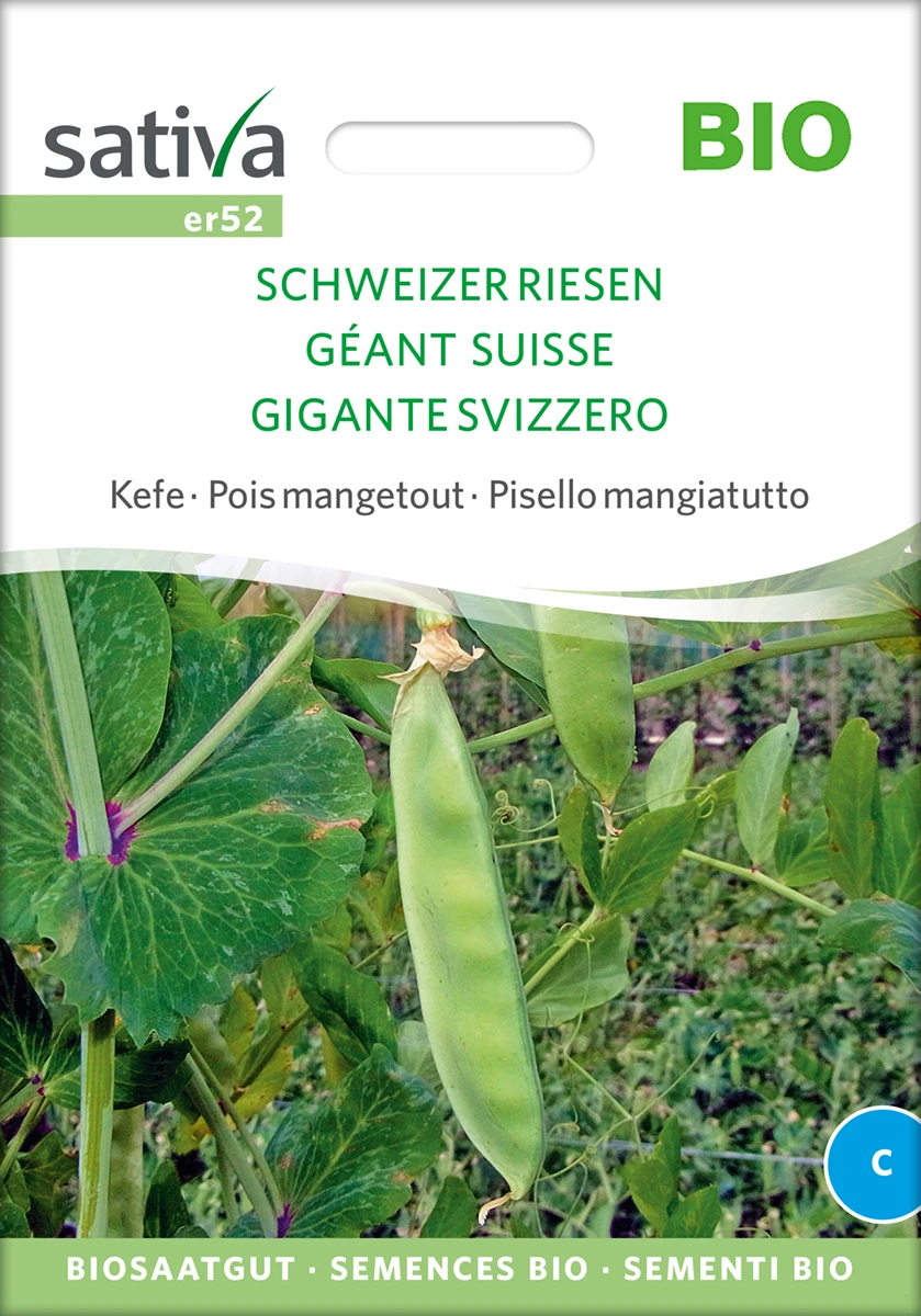 Zuckererbse Schweizer Riesen | BIO Zuckererbsensamen Von Sativa Rheinau 3 Zuckererbse Schweizer Riesen | BIO Zuckererbsensamen Von Sativa Rheinau