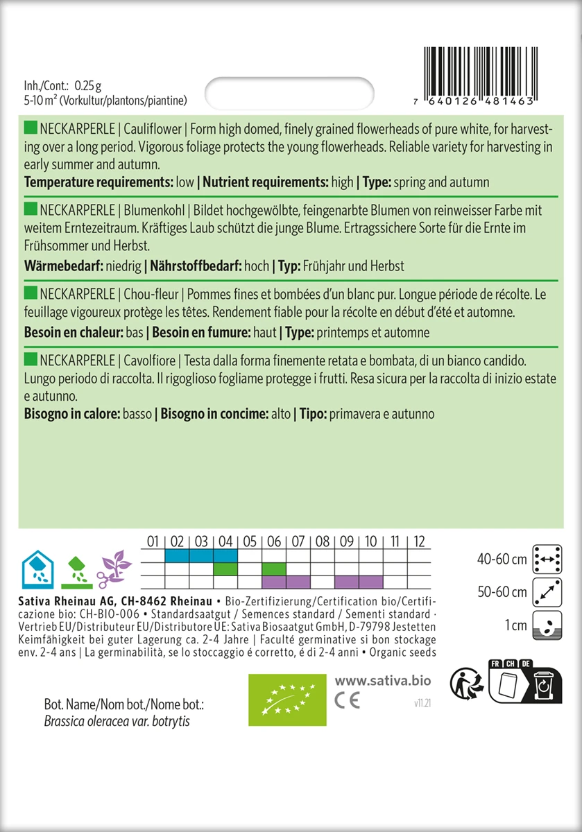 Blumenkohl Neckarperle | BIO Blumenkohlsamen Von Sativa Rheinau 4 Blumenkohl Neckarperle | BIO Blumenkohlsamen Von Sativa Rheinau – Bild 2