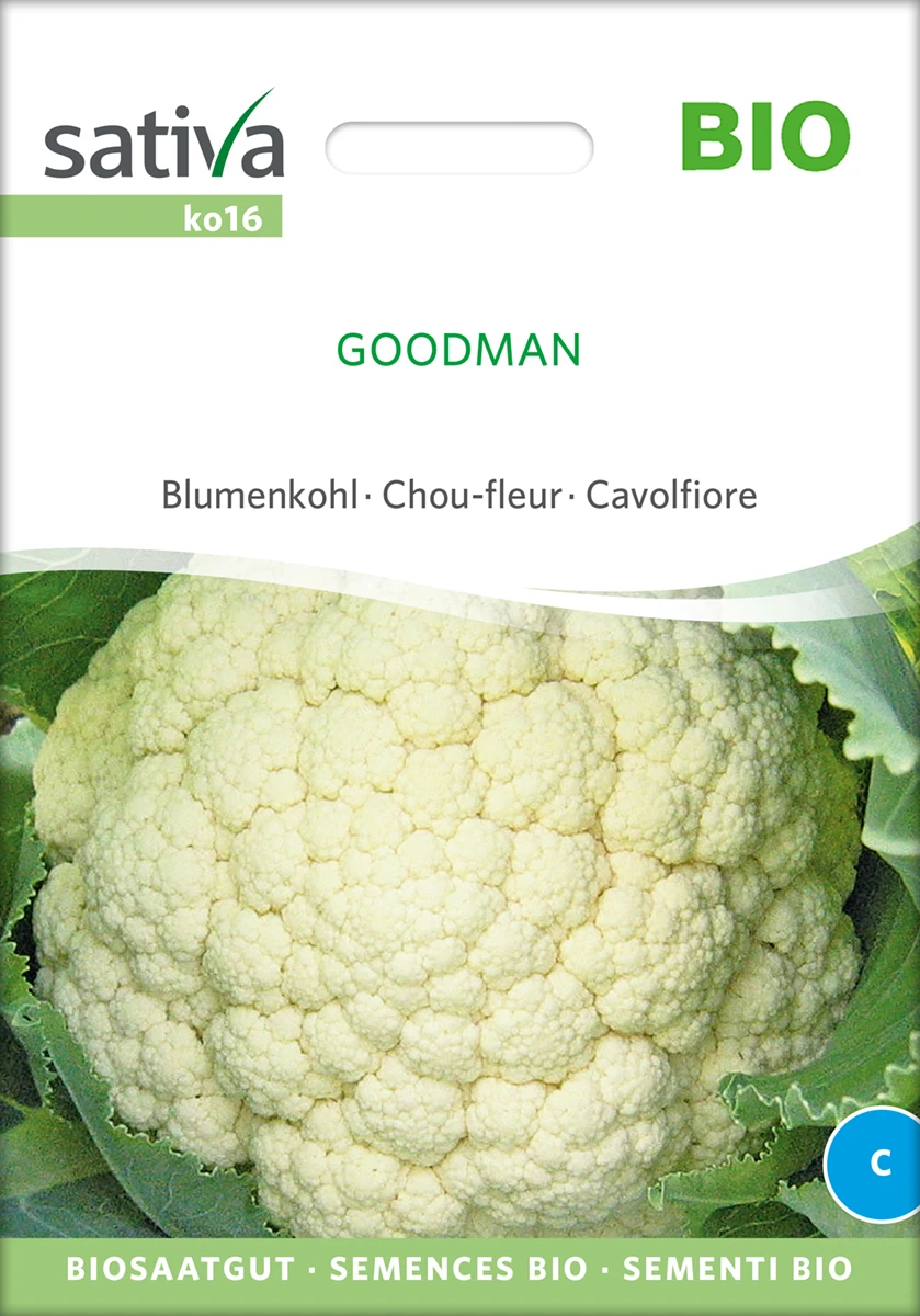 Blumenkohl Goodman | BIO Blumenkohlsamen Von Sativa Rheinau 4 Blumenkohl Goodman | BIO Blumenkohlsamen Von Sativa Rheinau – Bild 2