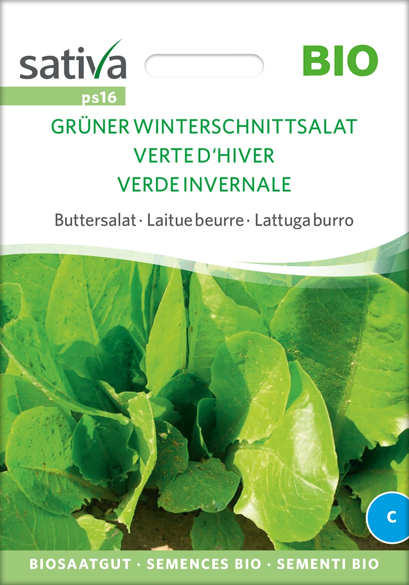 Buttersalat Winterschnittsalat Grüner | BIO Salatsamen Von Sativa Rheinau 4 Buttersalat Winterschnittsalat Grüner | BIO Salatsamen Von Sativa Rheinau – Bild 2