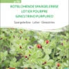 Spargelerbse Rotblühende Spargelerbse | BIO Erbsensamen Von Sativa Rheinau 1 Spargelerbse Rotblühende Spargelerbse | BIO Erbsensamen Von Sativa Rheinau -Pegasus Verkaufsgeschäft 534629 BIO Spargelerbse Rotbluehende Spargelerbse er70 sr 0