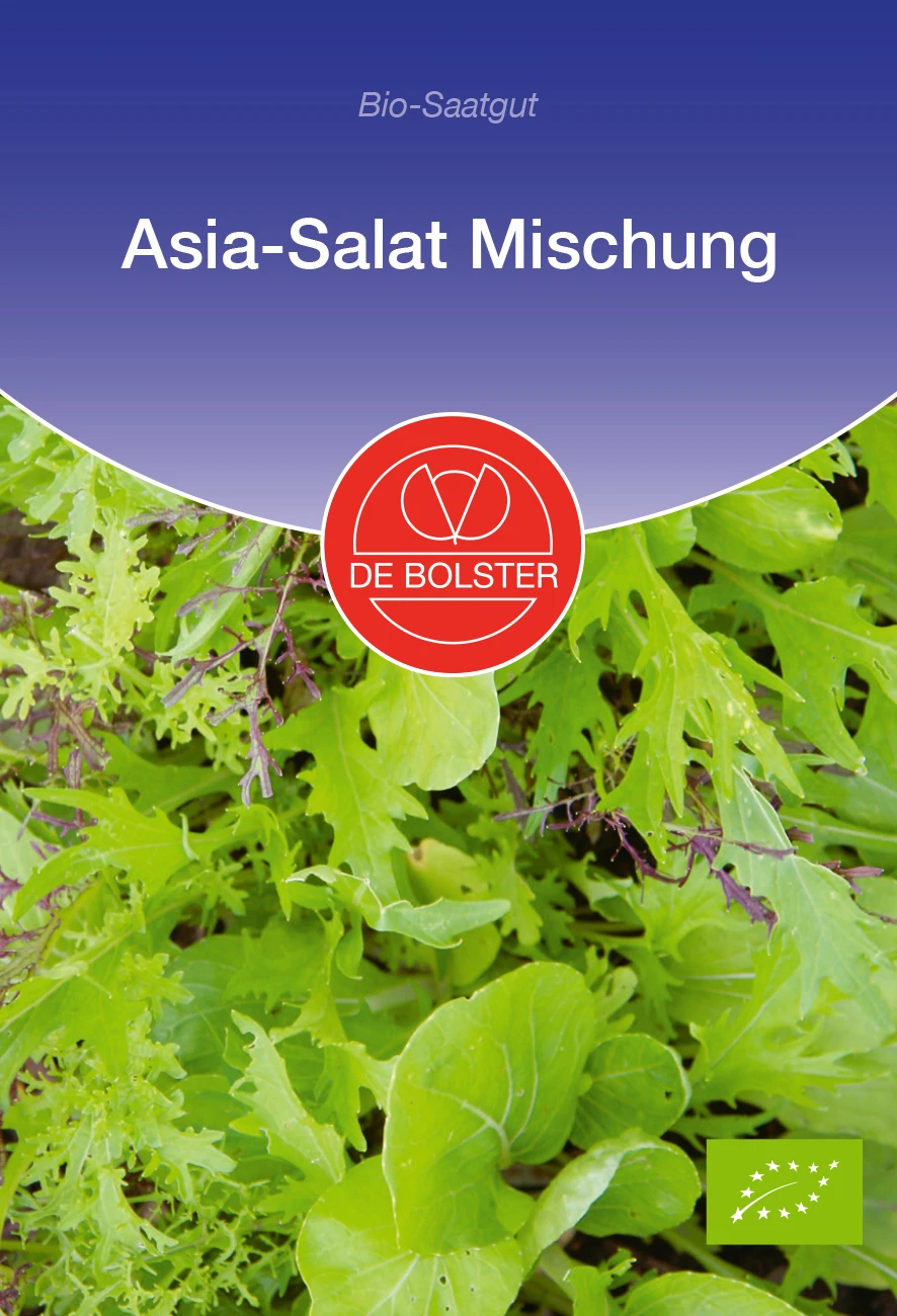 Asia - Salat Mischung | BIO Salatsamen Von De Bolster 4 Asia - Salat Mischung | BIO Salatsamen Von De Bolster – Bild 2