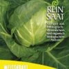 Weißkraut Derby Day | BIO Weißkohlsamen Von Reinsaat -Pegasus Verkaufsgeschäft 535760 BIO Weisskraut Derby Day Ko13 rs 0