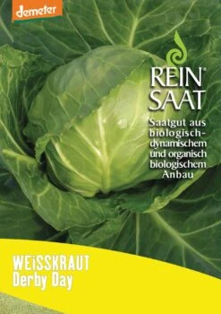 Weißkraut Derby Day | BIO Weißkohlsamen Von Reinsaat