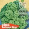 Grünkohl Westlandse Winter | BIO Grünkohlsamen Von Reinsaat 1 Grünkohl Westlandse Winter | BIO Grünkohlsamen Von Reinsaat -Pegasus Verkaufsgeschäft 535765 BIO Gruenkohl Westlandse Winter Ko28 rs 0