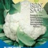 Blumenkohl Neckarperle | BIO Blumenkohlsamen Von Reinsaat -Pegasus Verkaufsgeschäft 535767 BIO Blumenkohl Neckarperle Ko30 rs 0