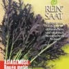 Asiagemüse Rouge Metis | BIO Salatsamen Von Reinsaat 2 Asiagemüse Rouge Metis | BIO Salatsamen Von Reinsaat -Pegasus Verkaufsgeschäft 535769 BIO Asiagemuese Rouge Metis Ko62 rs 0