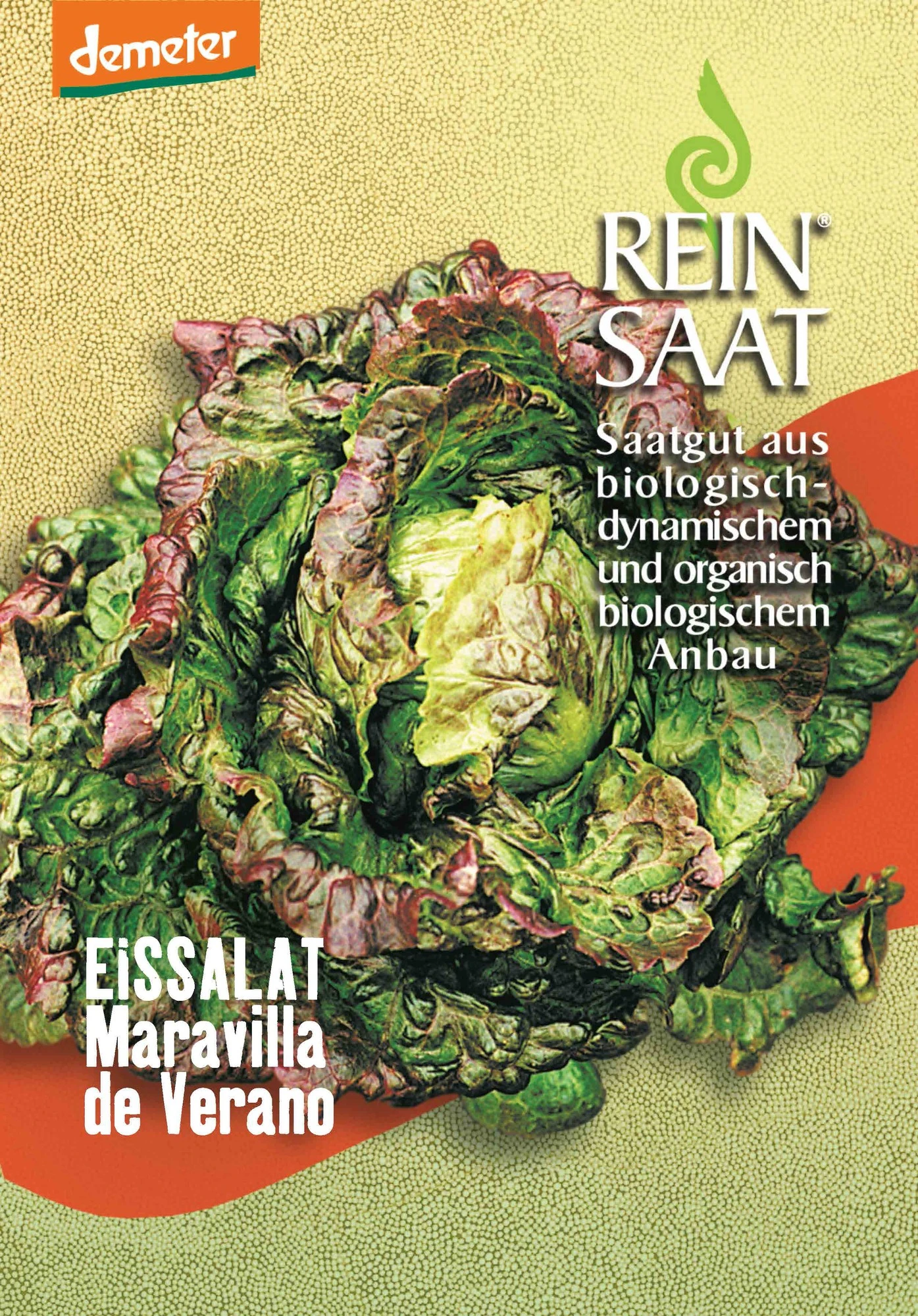 Kopfsalat Maravilla De Verano | BIO Kopfsalatsamen Von Reinsaat 3 Kopfsalat Maravilla De Verano | BIO Kopfsalatsamen Von Reinsaat