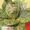 Romanasalat Forellenschluss | BIO Romanasalatsamen Von Reinsaat -Pegasus Verkaufsgeschäft 535827 BIO Romanasalat Forellenschluss Sa85 rs 0