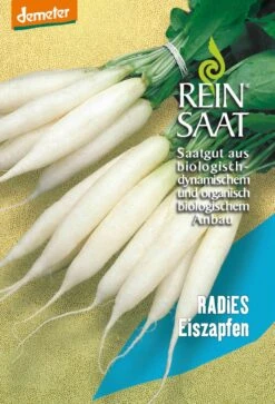 Radies Eiszapfen | BIO Radieschensamen Von Reinsaat
