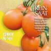 Salattomate Auriga | BIO Kirschtomatensamen Von Reinsaat 2 Salattomate Auriga | BIO Kirschtomatensamen Von Reinsaat -Pegasus Verkaufsgeschäft 535855 BIO Salattomate Auriga CV38 rs 0