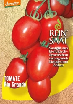 Saucentomate Rio Grande | BIO Fleischtomatensamen Von Reinsaat