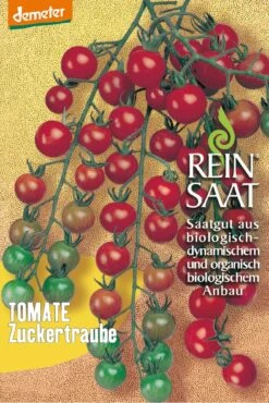 Cocktailtomate Zuckertraube | BIO Kirschtomatensamen Von Reinsaat