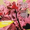 Gartenmelde Rubinrot | BIO Spinatsamen Von Reinsaat -Pegasus Verkaufsgeschäft 535906 BIO Gartenmelde Rubinrot CV13 rs 0