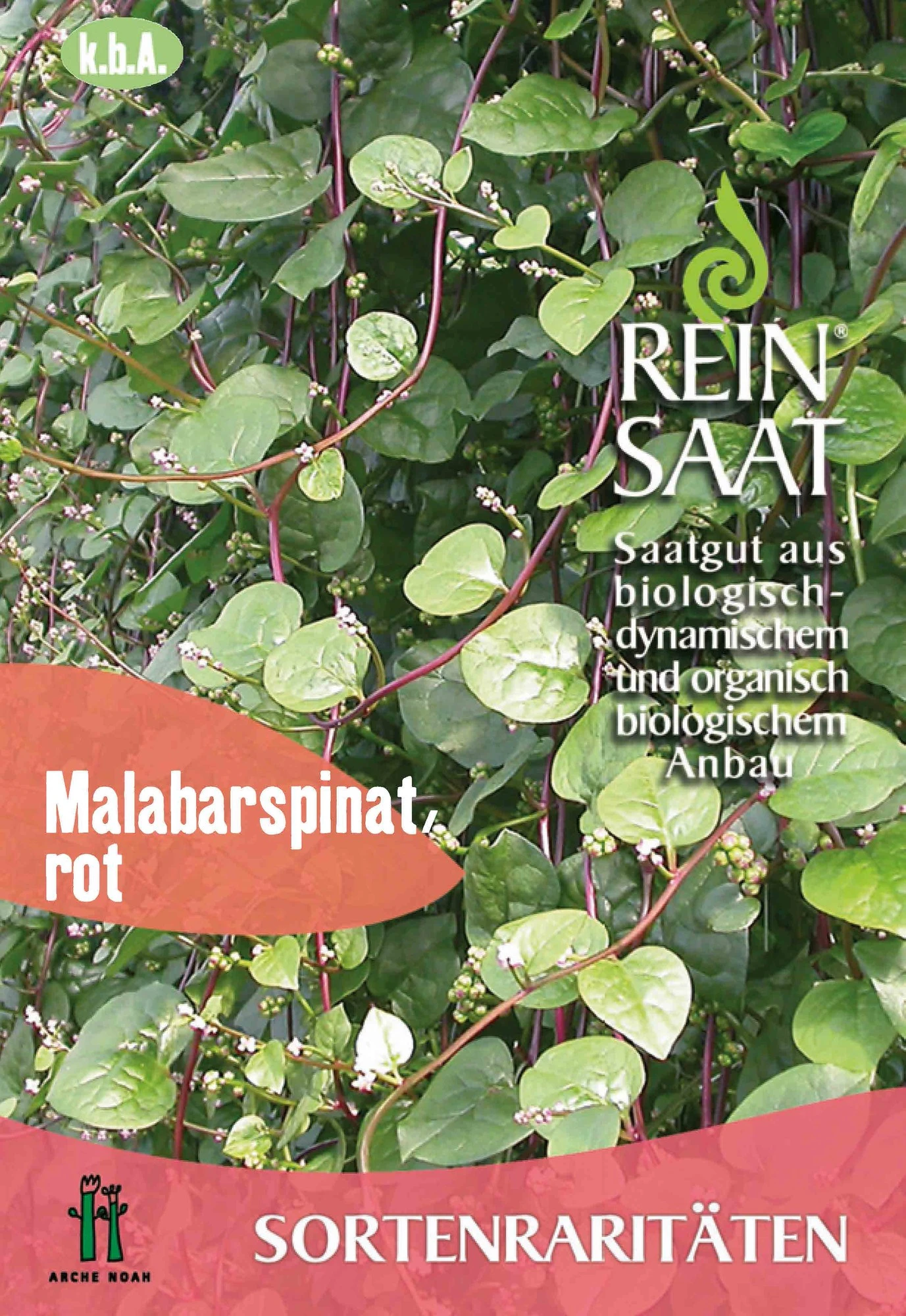 Malabarspinat | BIO Spinatsamen Von Reinsaat 3 Malabarspinat | BIO Spinatsamen Von Reinsaat