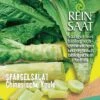 Spargelsalat Chinesische Keule | BIO Salatsamen Von Reinsaat -Pegasus Verkaufsgeschäft 535908 BIO Spargelsalat Chinesische Keule CV25 rs 0