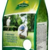 Spiel- &amp; Sportrasen 1 Kg | Sportrasen Von Quedlinburger -Pegasus Verkaufsgeschäft 536251 Rasensamen Spiel und Sportrasen 1 kg