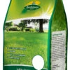 Schattenrasen 1 Kg | Schattenrasen Von Quedlinburger -Pegasus Verkaufsgeschäft 536257 Rasensamen Schattenrasen 1 kg