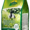 Kleintierrasen 2,5 Kg | Kleintierrasen Von Quedlinburger -Pegasus Verkaufsgeschäft 536261 Rasensamen Kleintierrasen 2 5 kg