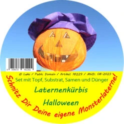 Jack O'Lantern Halloween Kürbis | Kürbissamen Von Saflax [MHD 09/2023]