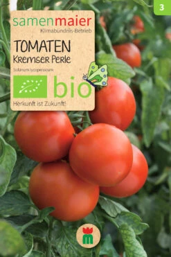 Beet-Box "Für Teilzeit-Italiener" | BIO Gemüsesamen-Sets Von Samen Maier -Pegasus Verkaufsgeschäft 536706 BIO Beet Box Fuer Teilzeit Italiener BB06 sm 4