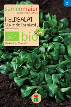 Beet-Box "Für Smoothie-Maker" | BIO Gemüsesamen-Sets Von Samen Maier -Pegasus Verkaufsgeschäft 536710 BIO Beet Box Fuer Smoothie Maker BB12 sm 1