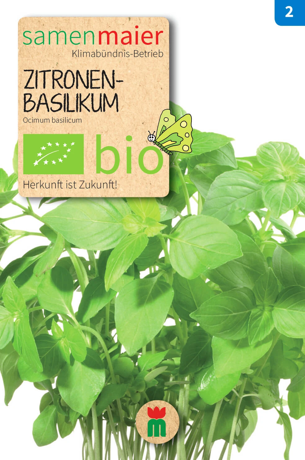 Beet-Box "Alles Gute Zum Geburtstag" | BIO Gemüsesamen-Sets Von Samen Maier 6 Beet-Box "Alles Gute Zum Geburtstag" | BIO Gemüsesamen-Sets Von Samen Maier – Bild 4