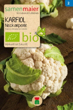 Beet-Box "Für Den Babybrei" | BIO Gemüsesamen-Sets Von Samen Maier -Pegasus Verkaufsgeschäft 536717 BIO Beet Box Fuer den Babybrei BB21 sm 1