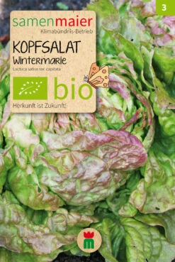 Beet-Box "Für Die Herbsternte" | BIO Gemüsesamen-Sets Von Samen Maier -Pegasus Verkaufsgeschäft 536718 BIO Beet Box Fuer die Herbsternte BB22 sm 3