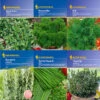 Kräuter - Saat - Sortiment Mit 9 Sorten | Kräutersamen-Sets Von Kiepenkerl -Pegasus Verkaufsgeschäft 536765 Saat Sortiment Kraeuter 9 Sorten von Kiep 1