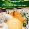Essbare Zier- & Speisekürbis | Zierkürbissamen Von Quedlinburger 2 Essbare Zier- & Speisekürbis | Zierkürbissamen Von Quedlinburger -Pegasus Verkaufsgeschäft 536818 Kuerbissamen Essbare Zier und Speisekuerbi