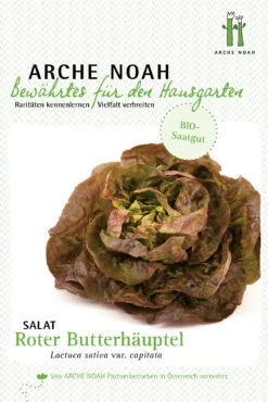 Kopfsalat Roter Butterhäuptl | BIO Kopfsalatsamen Von Arche Noah