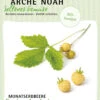 Monatserdbeere Fraise Des Bois | BIO Erdbeerensamen Von Arche Noah -Pegasus Verkaufsgeschäft 536976 Monatserdbeere Fraise des Bois