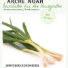 Winterheckenzwiebel Satschen | BIO Winterheckenzwiebelsamen Von Arche Noah 2 Winterheckenzwiebel Satschen | BIO Winterheckenzwiebelsamen Von Arche Noah -Pegasus Verkaufsgeschäft 536998 Winterheckzwiebel Satschen