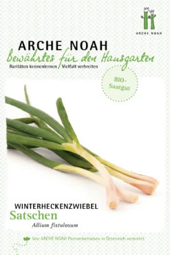 Winterheckenzwiebel Satschen | BIO Winterheckenzwiebelsamen Von Arche Noah